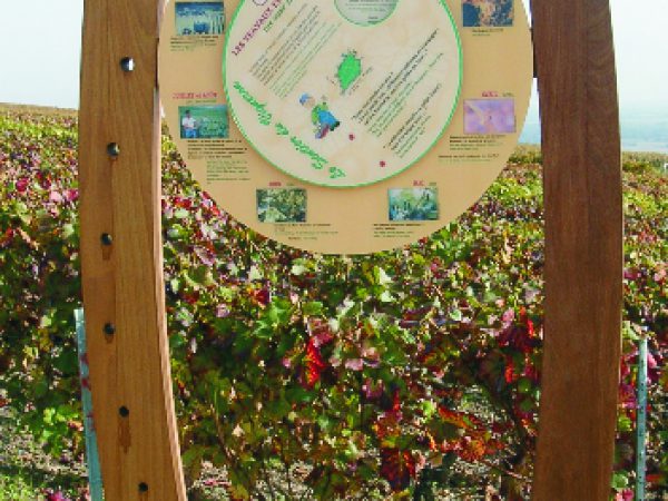 Jeu avec roue calendrier de la vigne en Champagne - Mutigny (51)