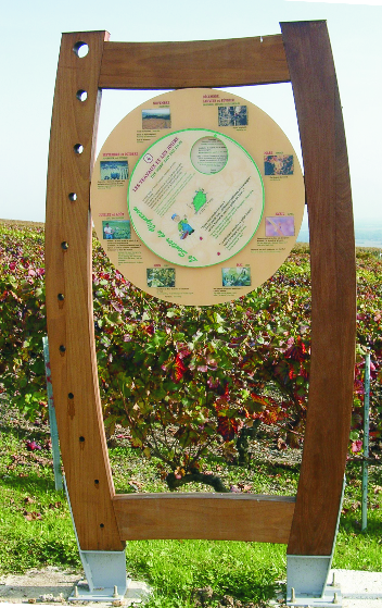 Jeu avec roue calendrier de la vigne