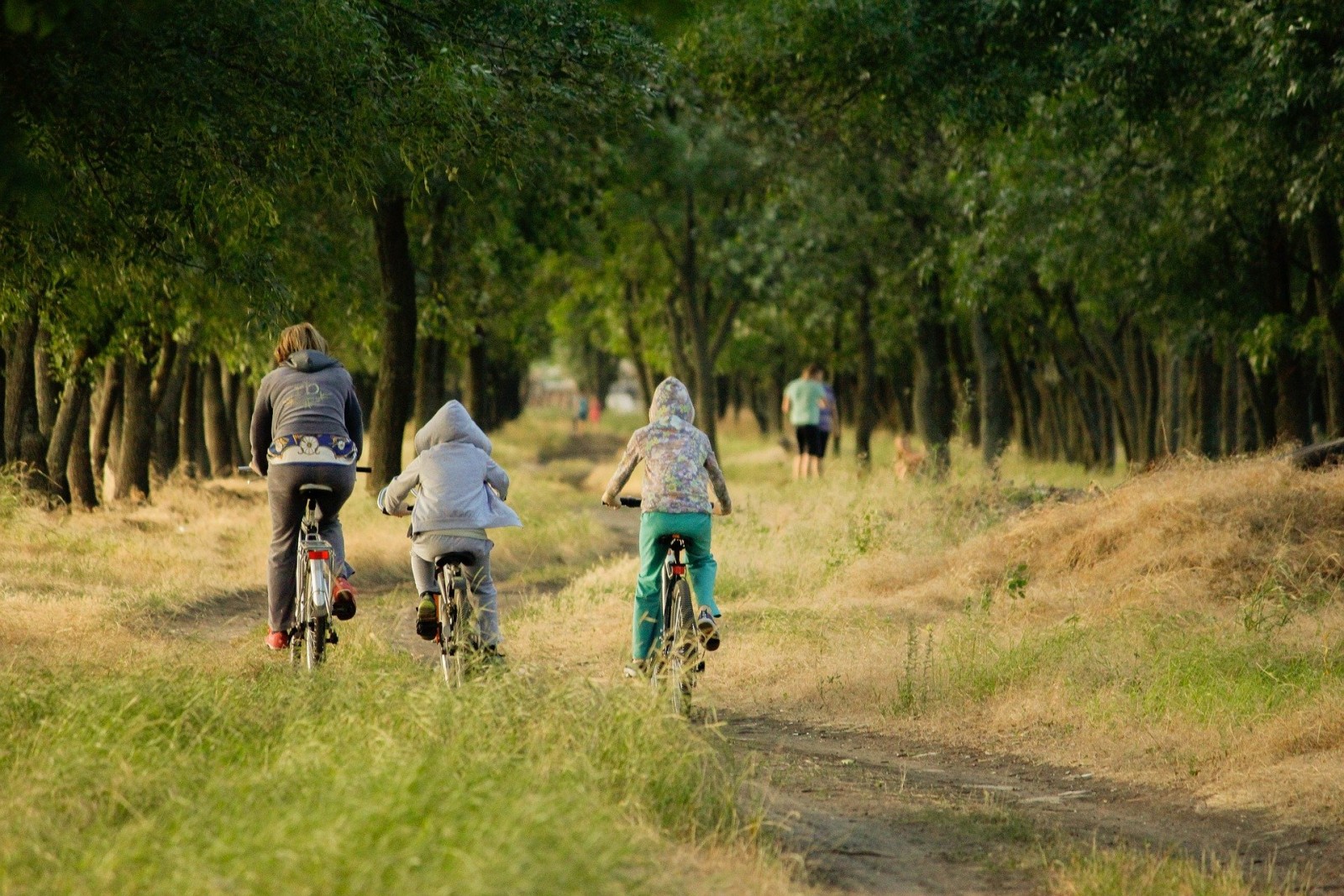 Famille à vélo en forêt